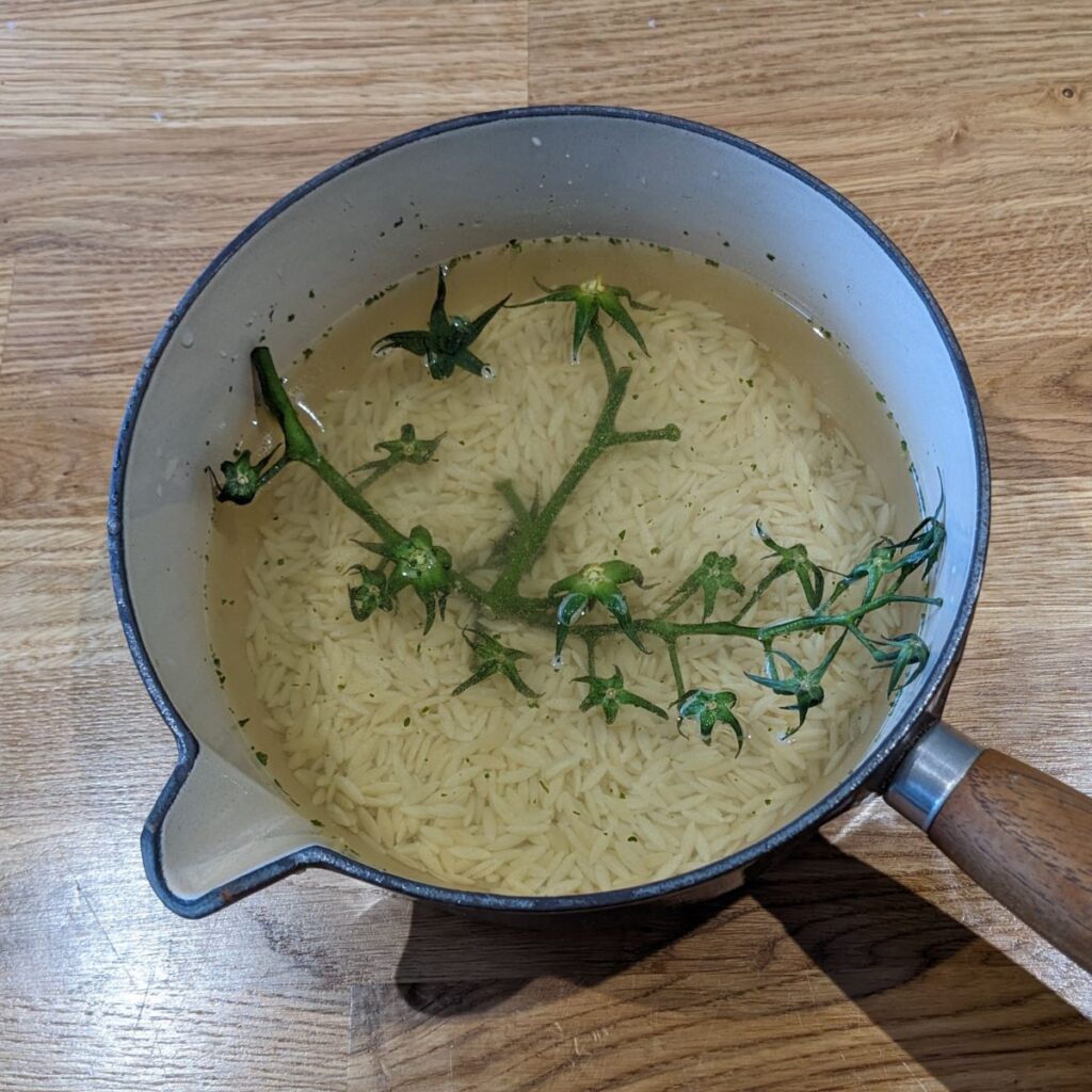 Orzo pasta in sauce pan